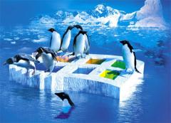 Pinguinos en tu windows